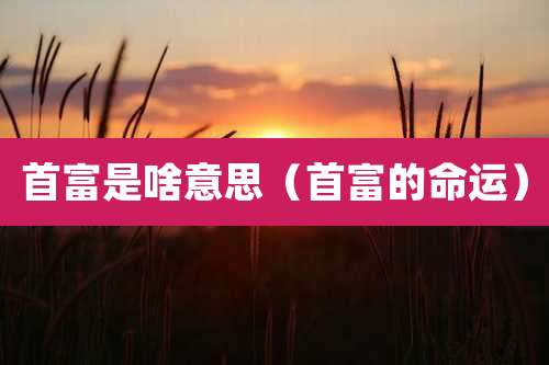 首富是啥意思（首富的命运）