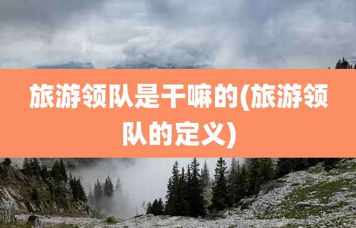 旅游领队是干嘛的(旅游领队的定义)