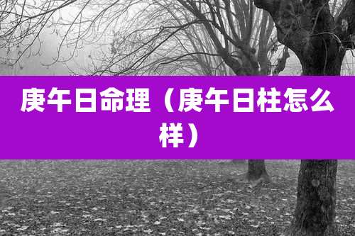 庚午日命理（庚午日柱怎么样）