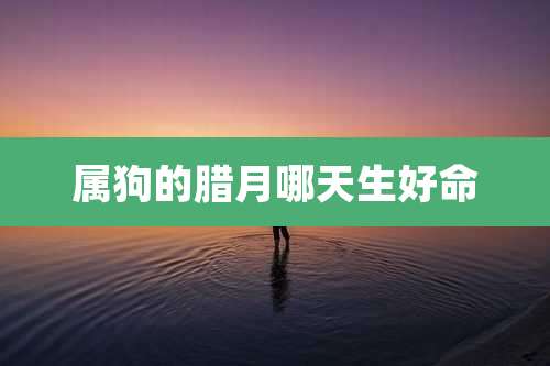 属狗的腊月哪天生好命