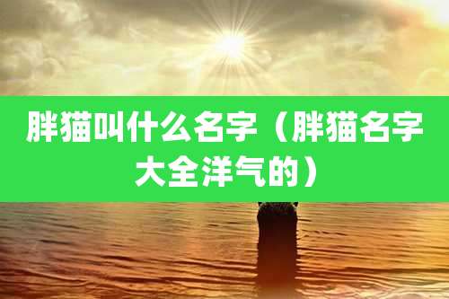胖猫叫什么名字（胖猫名字大全洋气的）