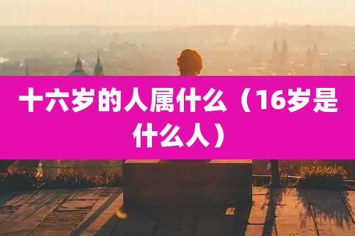 十六岁的人属什么（16岁是什么人）