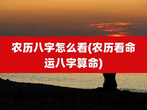 农历八字怎么看(农历看命运八字算命)