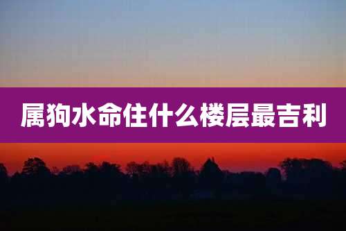 属狗水命住什么楼层最吉利