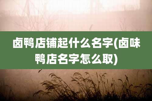 卤鸭店铺起什么名字(卤味鸭店名字怎么取)