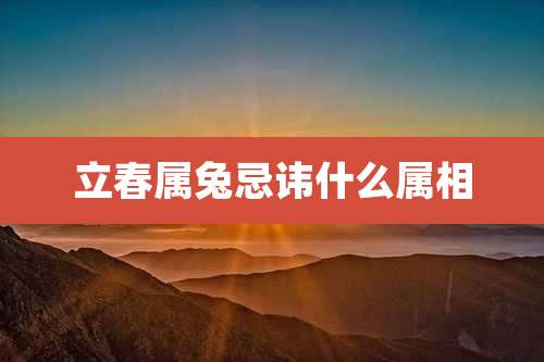 立春属兔忌讳什么属相