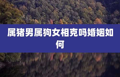 属猪男属狗女相克吗婚姻如何