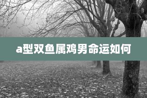 a型双鱼属鸡男命运如何
