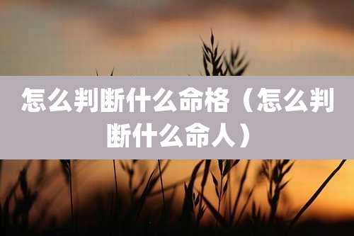 怎么判断什么命格(怎么判断什么命人)