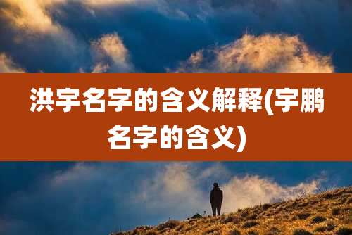 洪宇名字的含义解释(宇鹏名字的含义)