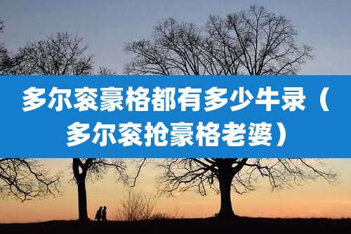 多尔衮豪格都有多少牛录（多尔衮抢豪格老婆）