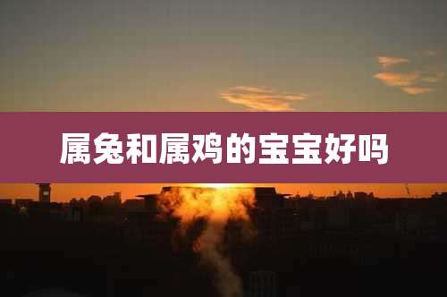属兔和属鸡的宝宝好吗