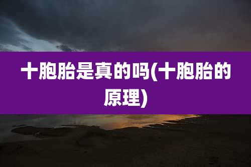 十胞胎是真的吗(十胞胎的原理)