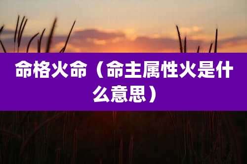 命格火命（命主属性火是什么意思）