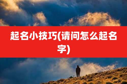 起名小技巧(请问怎么起名字)