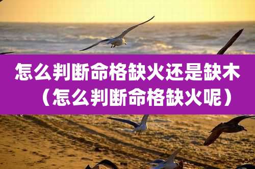 怎么判断命格缺火还是缺木（怎么判断命格缺火呢）