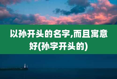 以孙开头的名字,而且寓意好(孙字开头的)