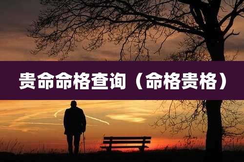 贵命命格查询(命格贵格)