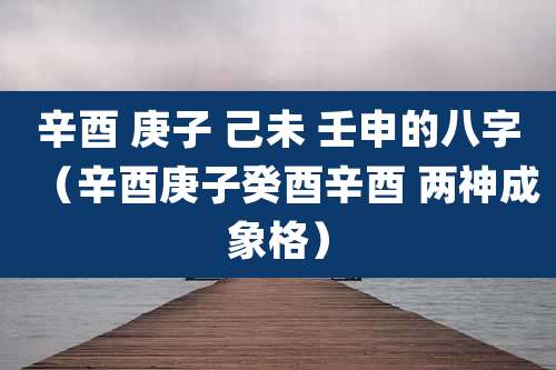 辛酉 庚子 己未 壬申的八字（辛酉庚子癸酉辛酉 两神成象格）