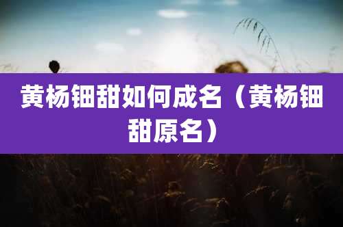 黄杨钿甜如何成名（黄杨钿甜原名）