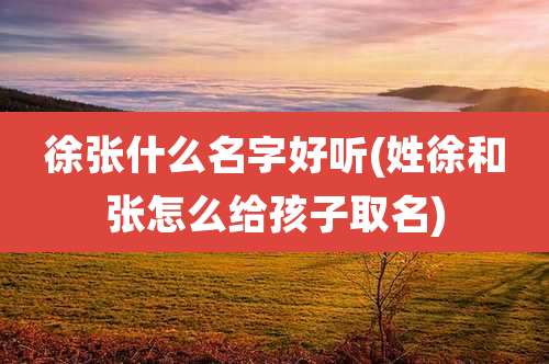 徐张什么名字好听(姓徐和张怎么给孩子取名)