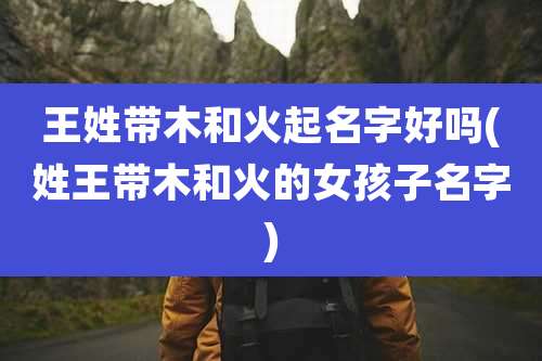 王姓带木和火起名字好吗(姓王带木和火的女孩子名字)