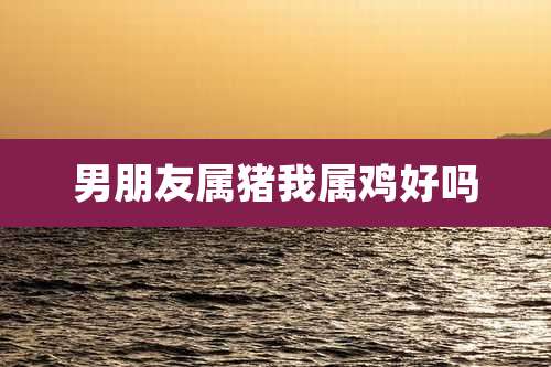 男朋友属猪我属鸡好吗