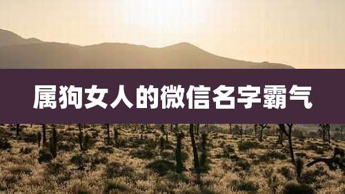 属狗女人的微信名字霸气