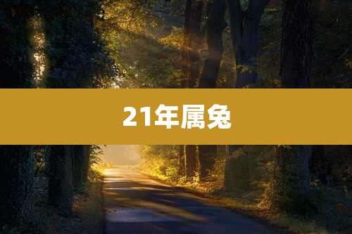 21年属兔