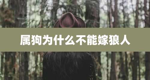 属狗为什么不能嫁狼人