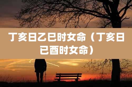 丁亥日乙巳时女命（丁亥日已酉时女命）