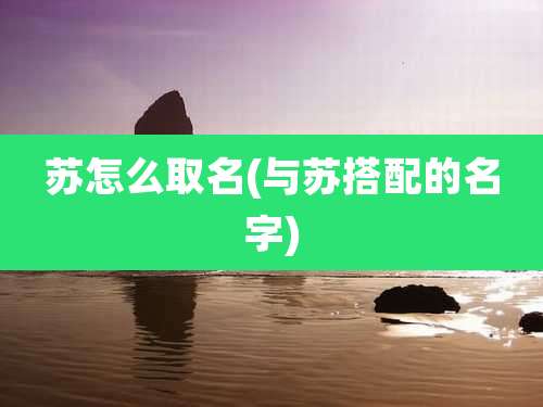 苏怎么取名(与苏搭配的名字)