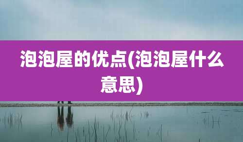 泡泡屋的优点(泡泡屋什么意思)