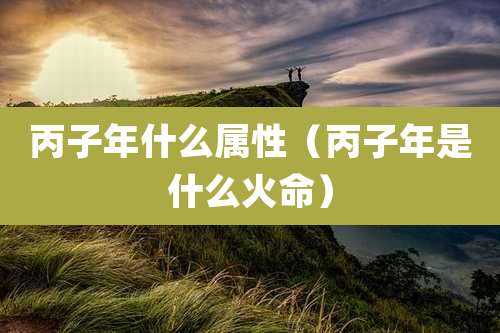 丙子年什么属性（丙子年是什么火命）