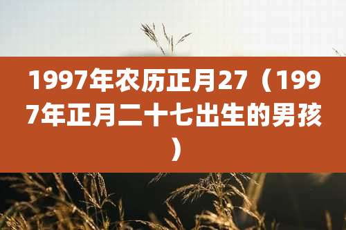 1997年农历正月27（1997年正月二十七出生的男孩）