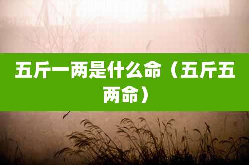 五斤一两是什么命(五斤五两命)