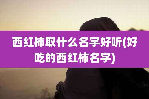 西红柿取什么名字好听(好吃的西红柿名字)