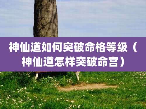 神仙道如何突破命格等级(神仙道怎样突破命宫)