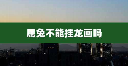 属兔不能挂龙画吗