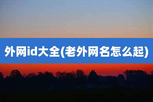 外网id大全(老外网名怎么起)