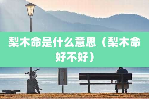梨木命是什么意思（梨木命好不好）