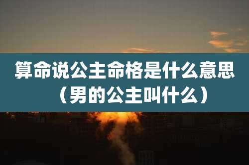 算命说公主命格是什么意思（男的公主叫什么）