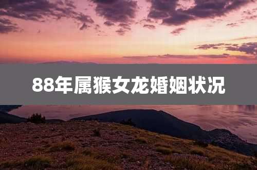 88年属猴女龙婚姻状况