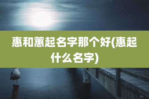 惠和蕙起名字那个好(惠起什么名字)