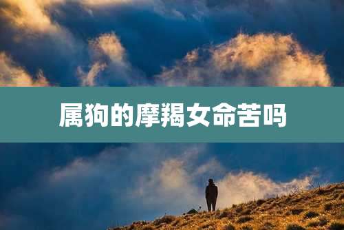 属狗的摩羯女命苦吗