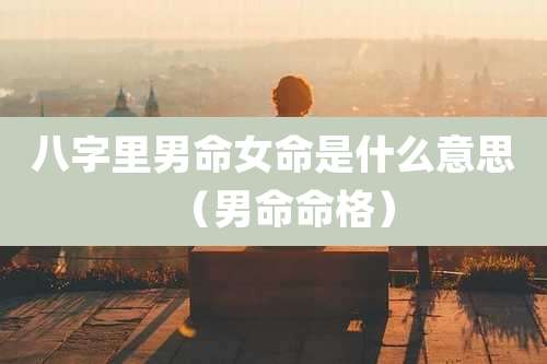 八字里男命女命是什么意思（男命命格）