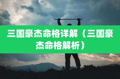 三国豪杰命格详解(三国豪杰命格解析)