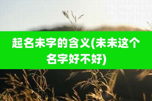 起名未字的含义(未未这个名字好不好)