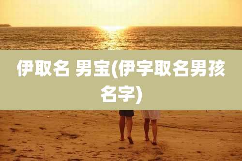伊取名 男宝(伊字取名男孩名字)