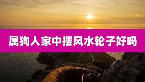 属狗人家中摆风水轮子好吗